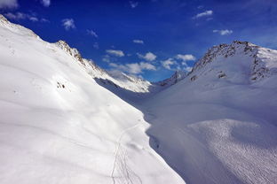 谷爱凌带动滑雪进校园活动升温，中国自由式滑雪选手谷爱凌介绍